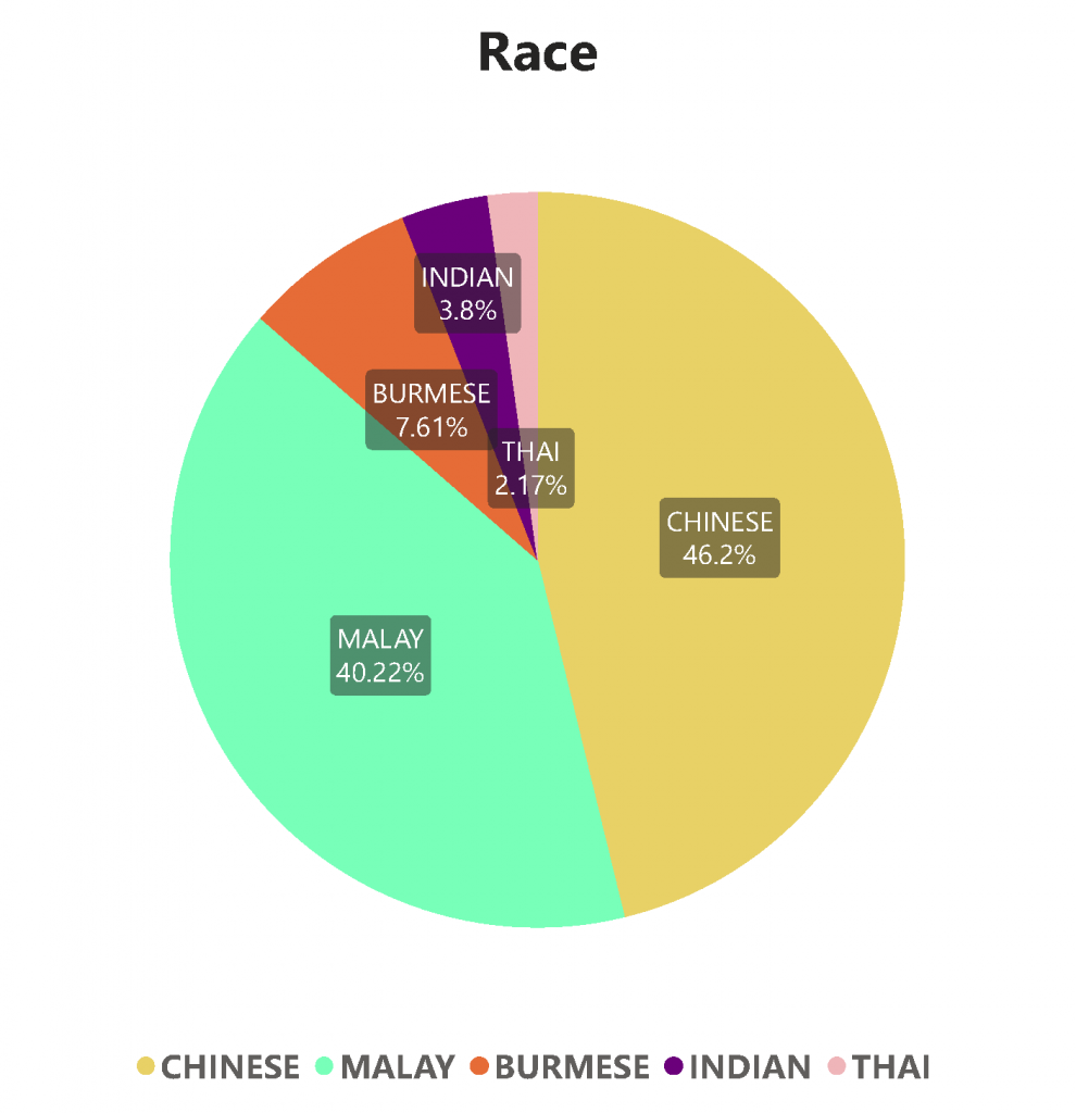 Race Pie Chart